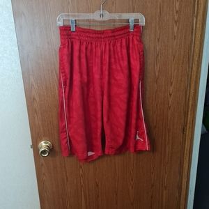 Mens Air Jordan Shorts Size Large Dri Fit